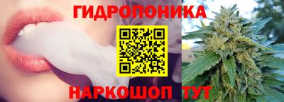 молекула духа Кандалакша