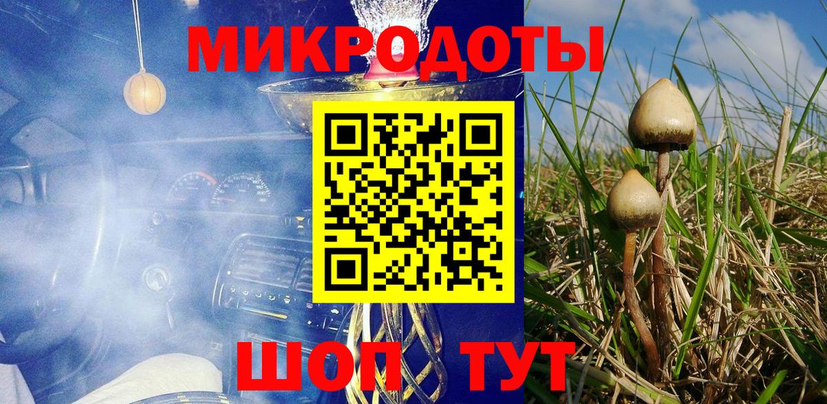 Галлюциногенные грибы мицелий Кропоткин